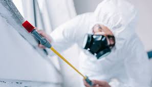 Best Pest Control for Multi-Family Homes  in Lakewood, WA